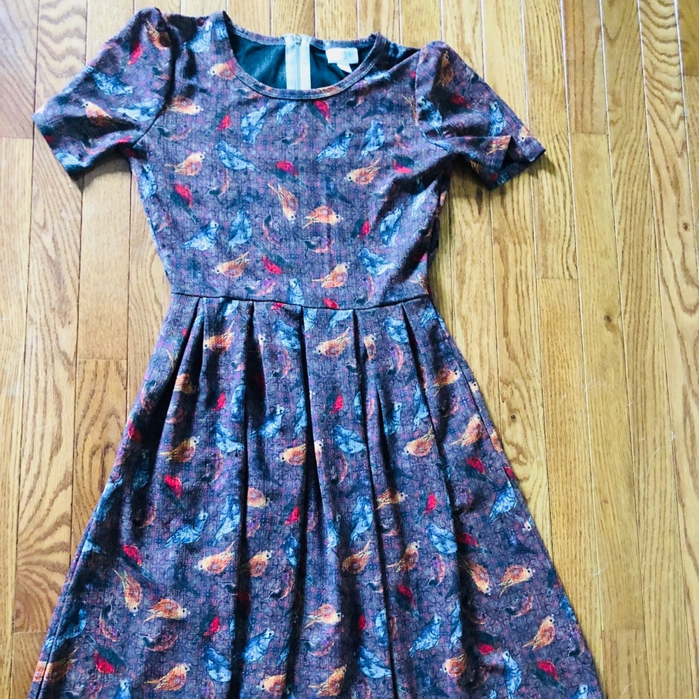 LulaRoe | Amelia Dress | Adorable Bird Pattern 🐦